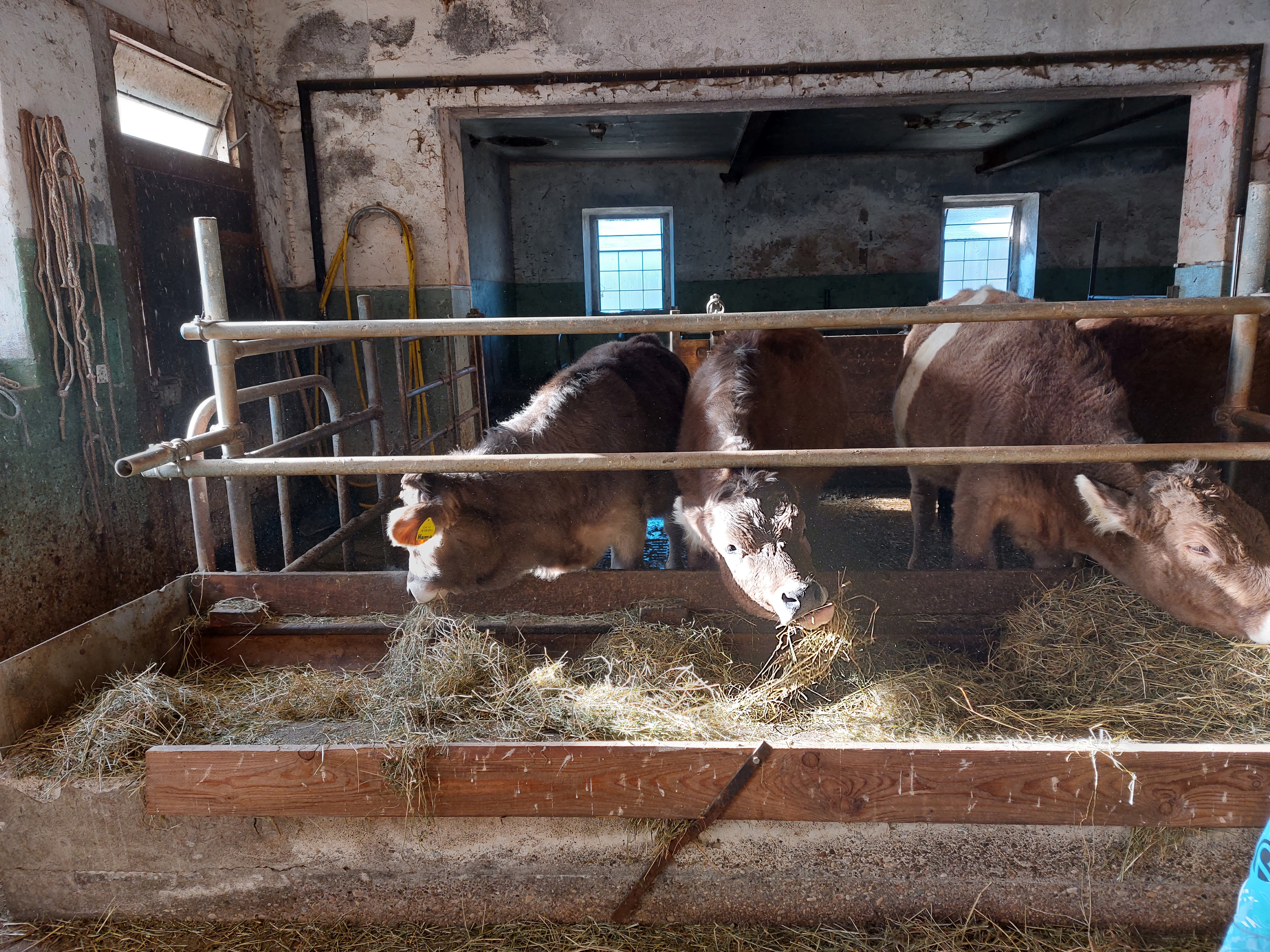 IG Bauernhofspielgruppe