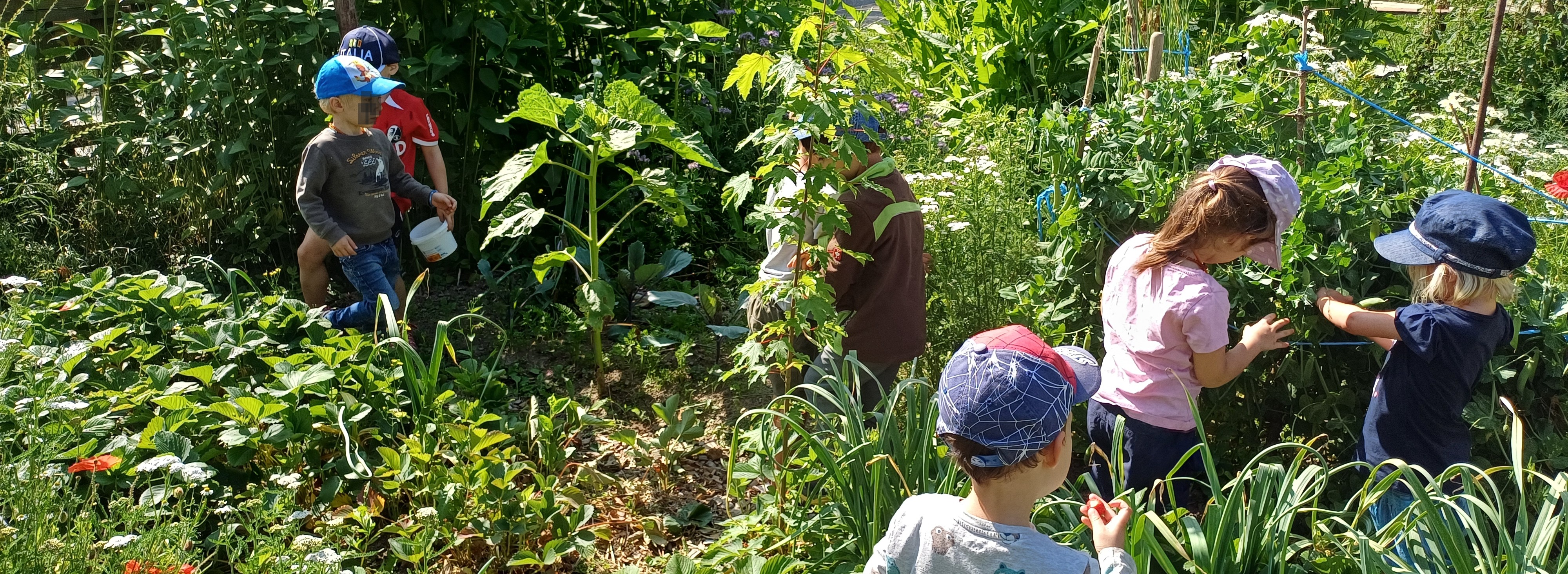 IG Bauernhofspielgruppe